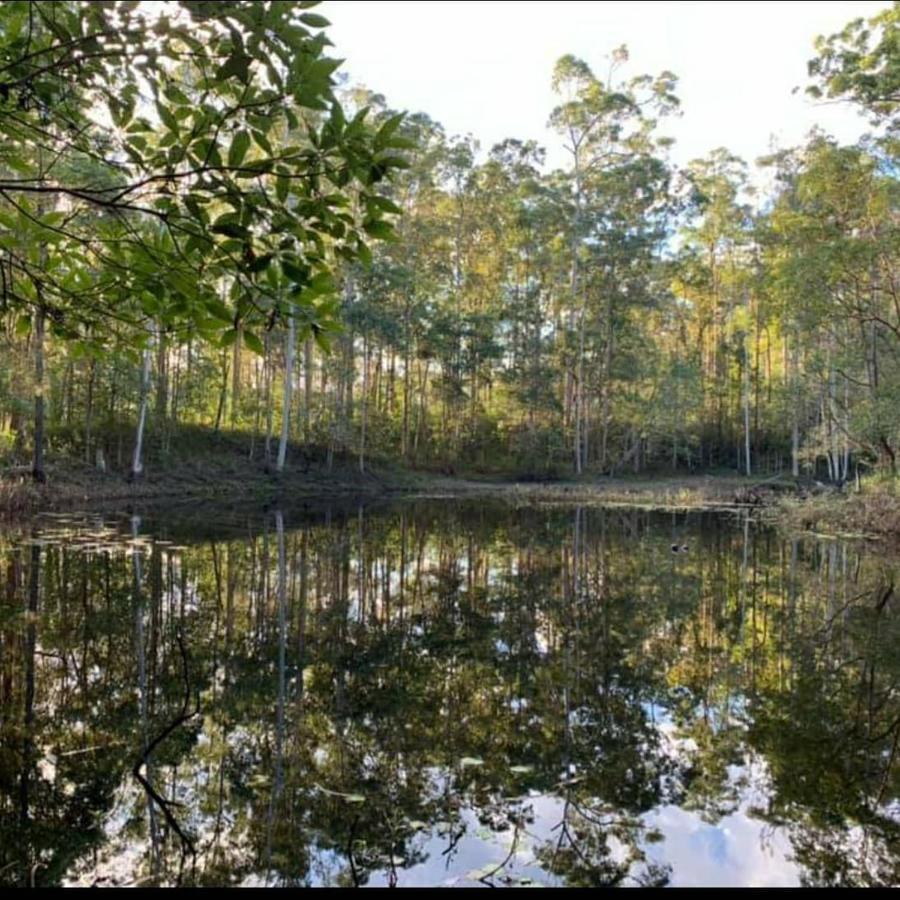 Oakey Creek Country Retreat Kenilworth Guest House Gheerulla ภายนอก รูปภาพ